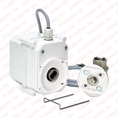 ШЭП PROFESSIONAL BS, 220 V, Кран Steel