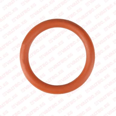 Уплотнительное кольцо FPM (Viton)
