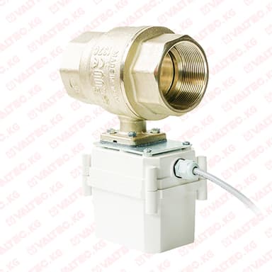 ШЭП PROFESSIONAL, 12 V, КРАН ENOLGAS